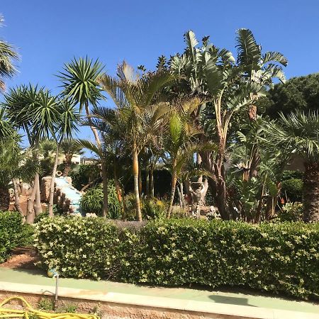 サン・ヴィート・ロ・カーポLe Palme Tropicaliアパートメント エクステリア 写真